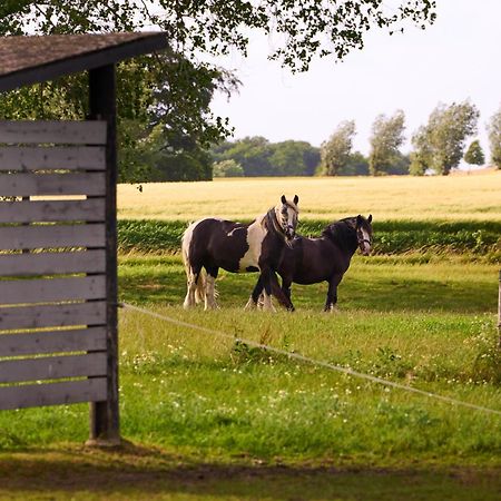 Hotel Hesselgaard Glamping Dalby Exteriér fotografie