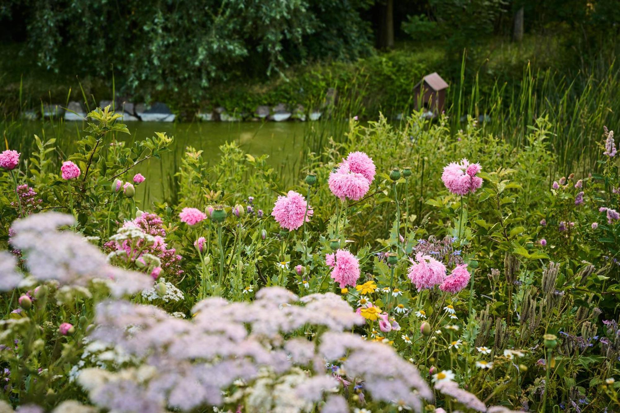 Hotel Hesselgaard Glamping Dalby Exteriér fotografie