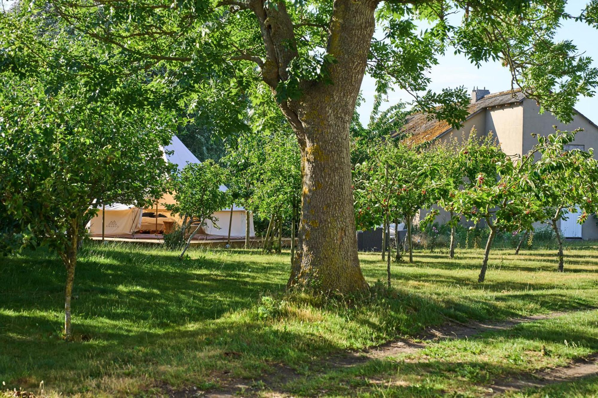 Hotel Hesselgaard Glamping Dalby Exteriér fotografie